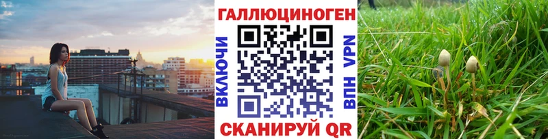 Купить закладки  Рошаль  Галлюциногенные грибы Psilocybe 